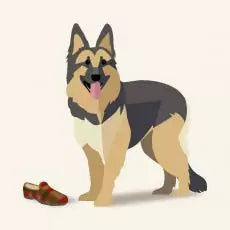 Porridge for Dogs