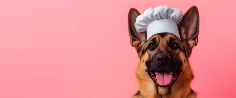 Homemade Cheesy Dog Treats
