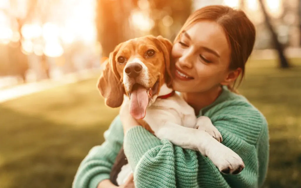 Give Your Dog A Hug – The Benefits Of Hugging Your Dog