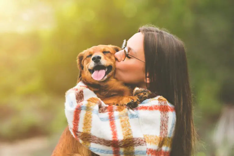 Are dogs good for mental health?