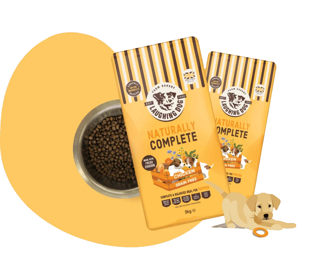 When to Stop Soaking Dry Food for Puppies?