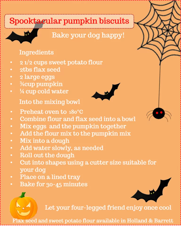 Homemade Pumpkin Dog Treats