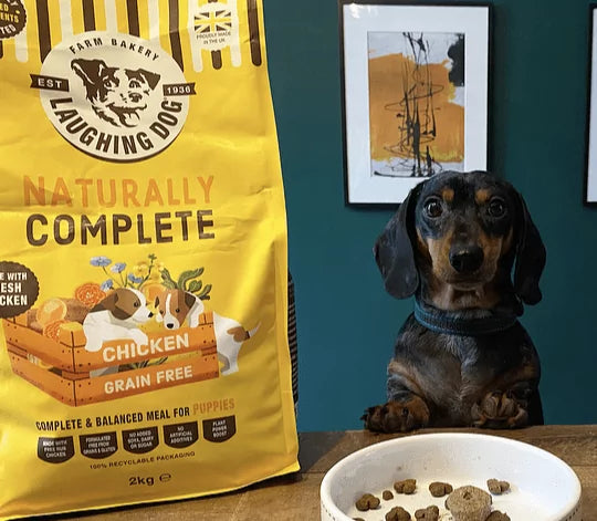 Is grain free food good for puppies?