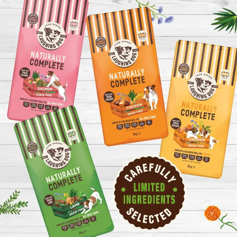Can Your dog Benefit From A Grain-Free Diet