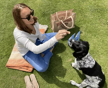 Training Your Dog