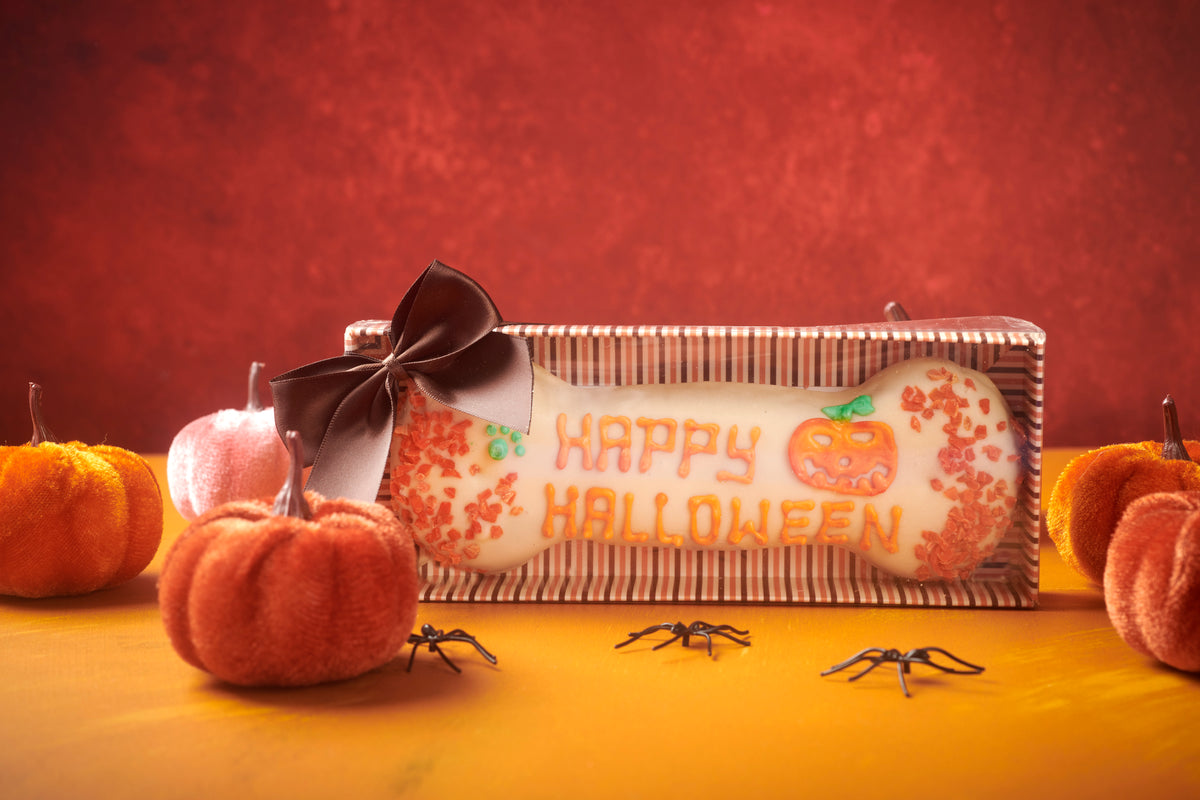 Hand Decorated Wheat Free Halloween Dog Treat