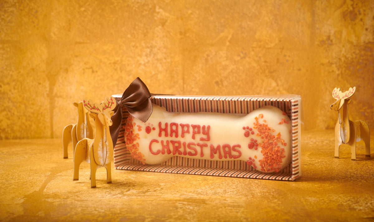 Hand Decorated Christmas Bone for Dogs