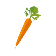 carrot