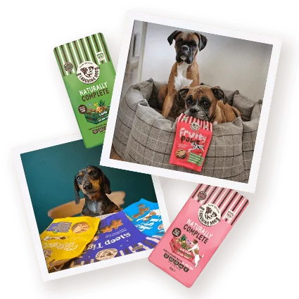 Laughing Dog Food