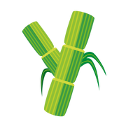 cellulose
