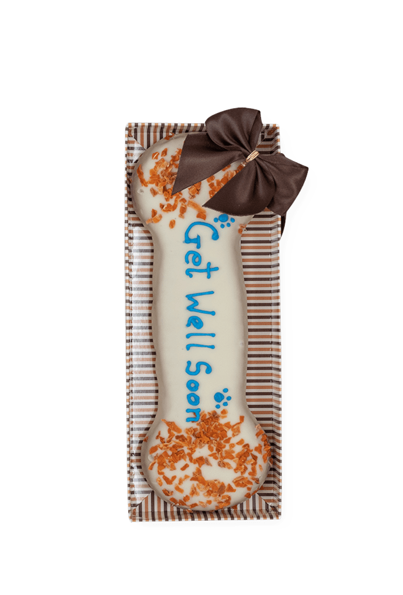 Get Well Soon Wheat Free Dog Biscuit Bone