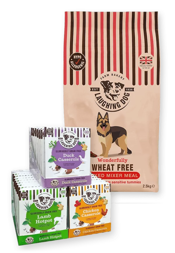 Adult Wheat Free Mixer & Wet Dog Food Bundle