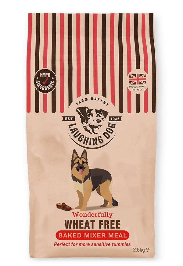 Adult Wheat Free Mixer & Wet Dog Food Bundle