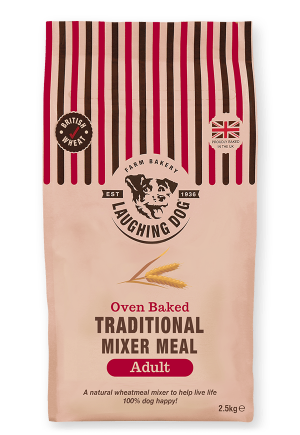 Adult Traditional Mixer & Wet Dog Food Bundle