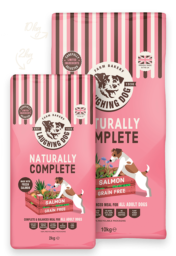 Naturally Grain Free Adult Salmon Complete Dog Food