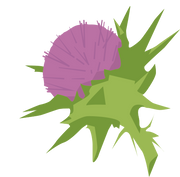 milk-thistle