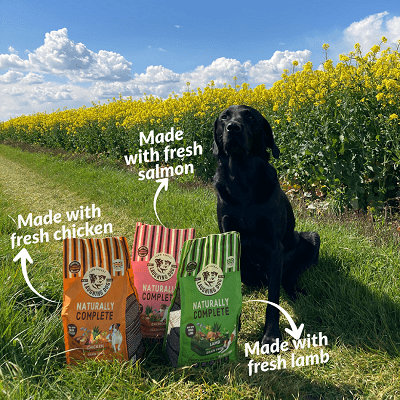Naturally Grain Free Adult Salmon Complete Dog Food