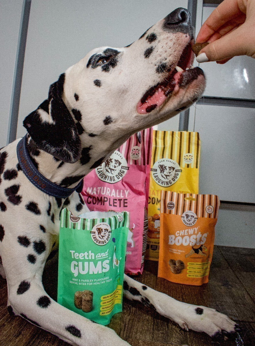 Teeth and Gums Dental Dog Treats