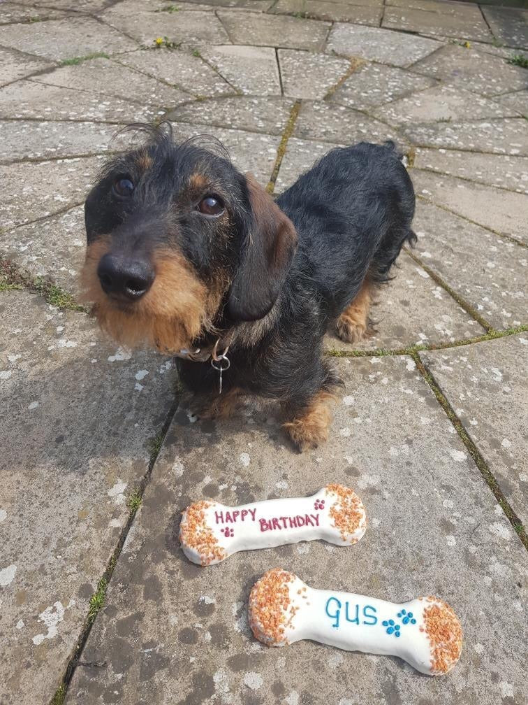 Personalised Biscuit Bone