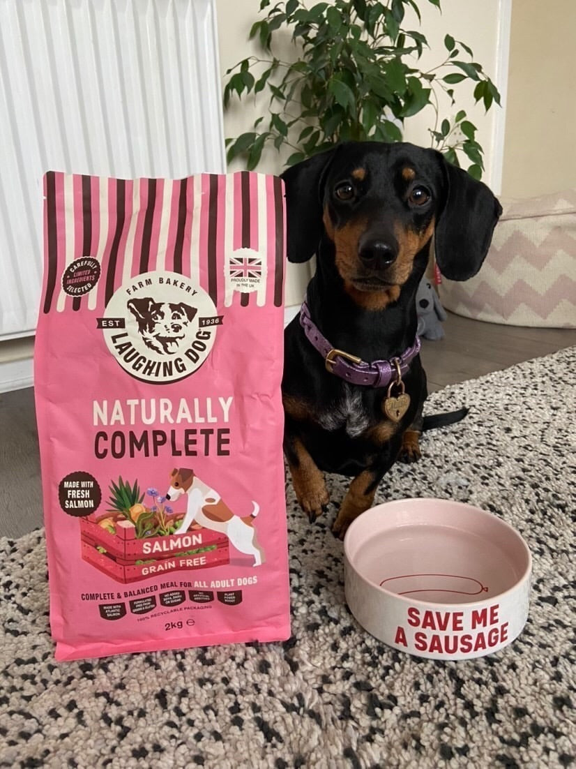 Naturally Grain Free Adult Salmon Complete Dog Food