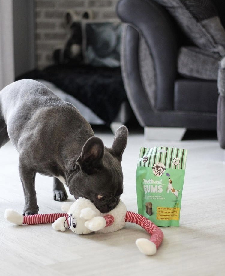 Teeth and Gums Dental Dog Treats