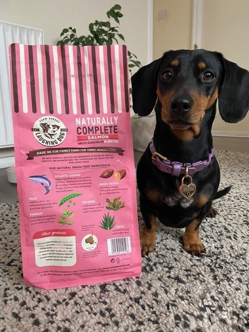 Naturally Grain Free Adult Salmon Complete Dog Food