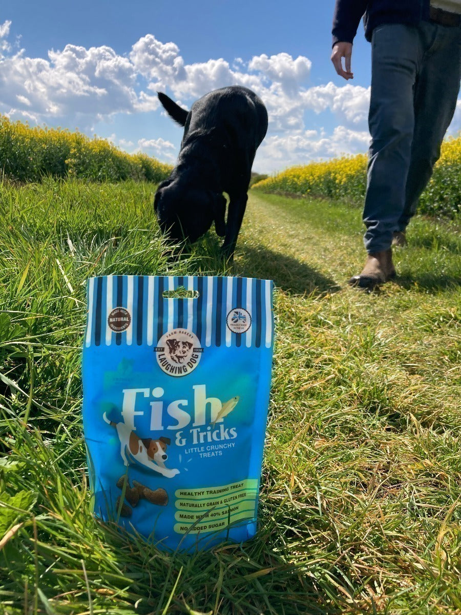 Dog walking with treat bag | Laughing Dog Food