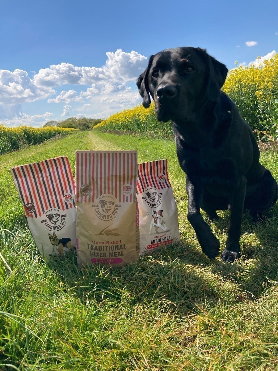 Wonderfully Wheat Free Baked Mixer Meal Dog Food