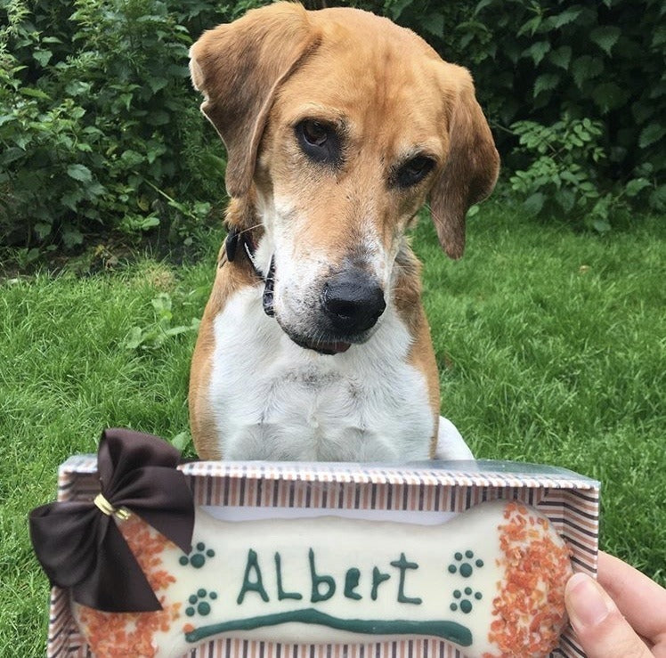 Personalised Biscuit Bone