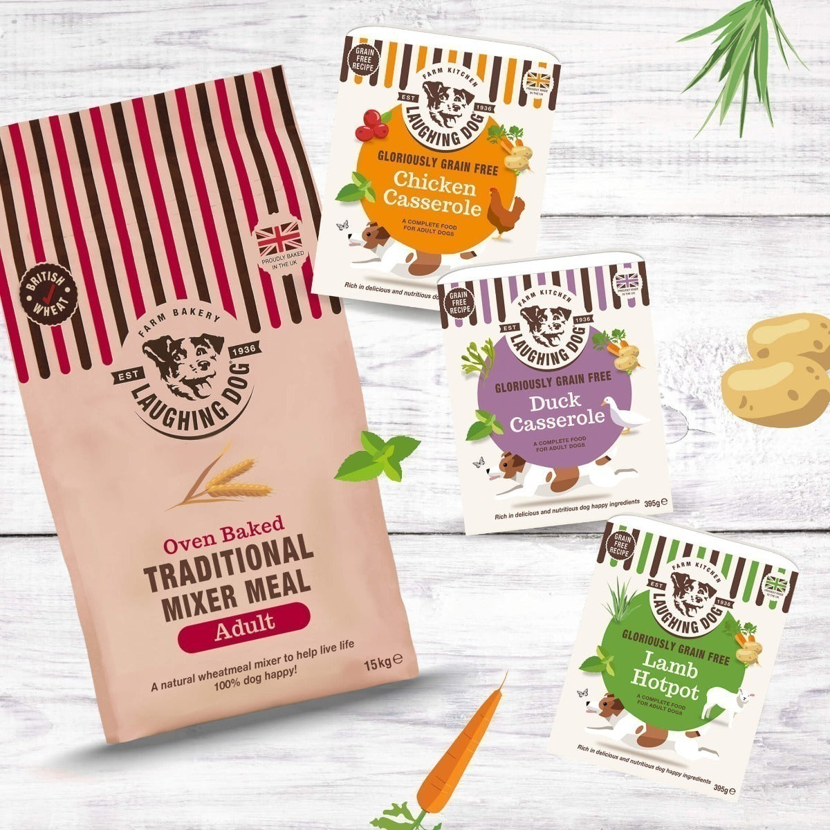 Adult Traditional Mixer & Wet Dog Food Bundle