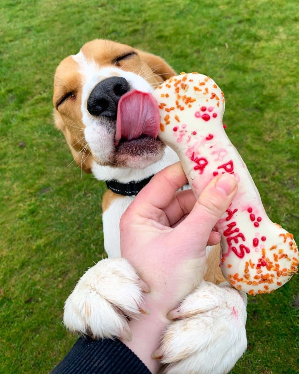 Personalised Biscuit Bone