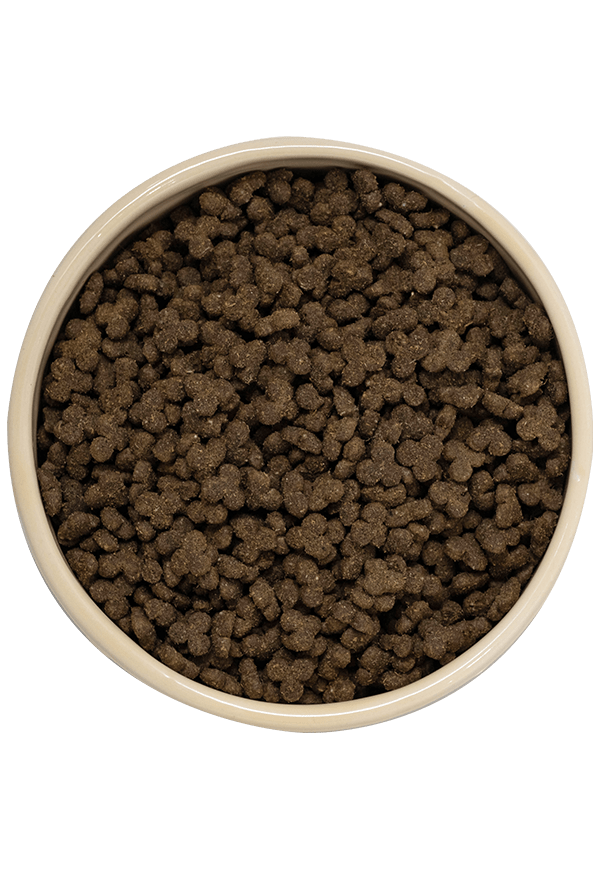 Lamb dog food top down | Laughing Dog Food