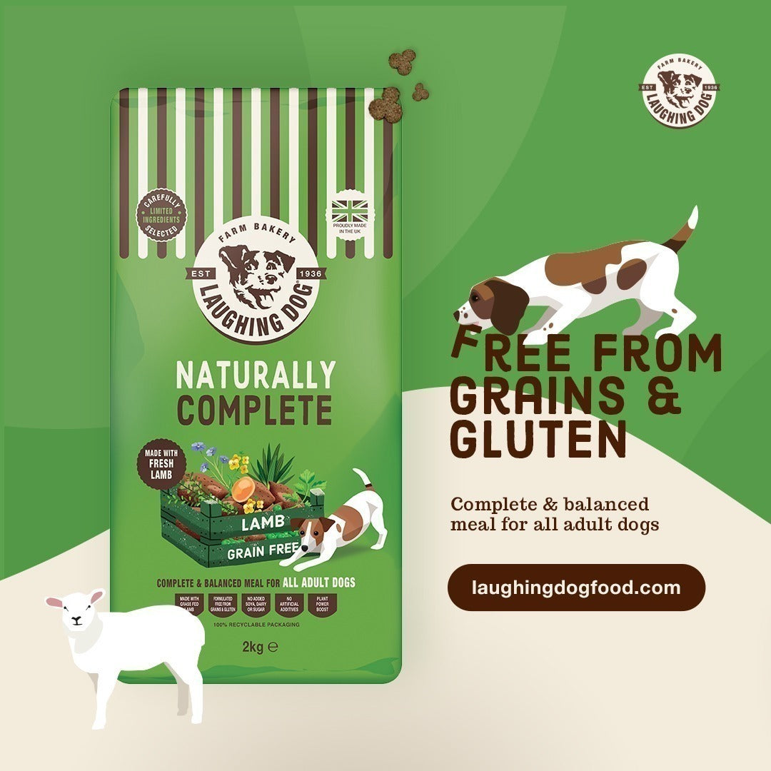 Social post of lamb dog food | Laughing Dog Food