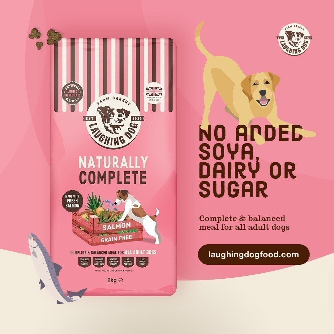Naturally Grain Free Adult Salmon Complete Dog Food