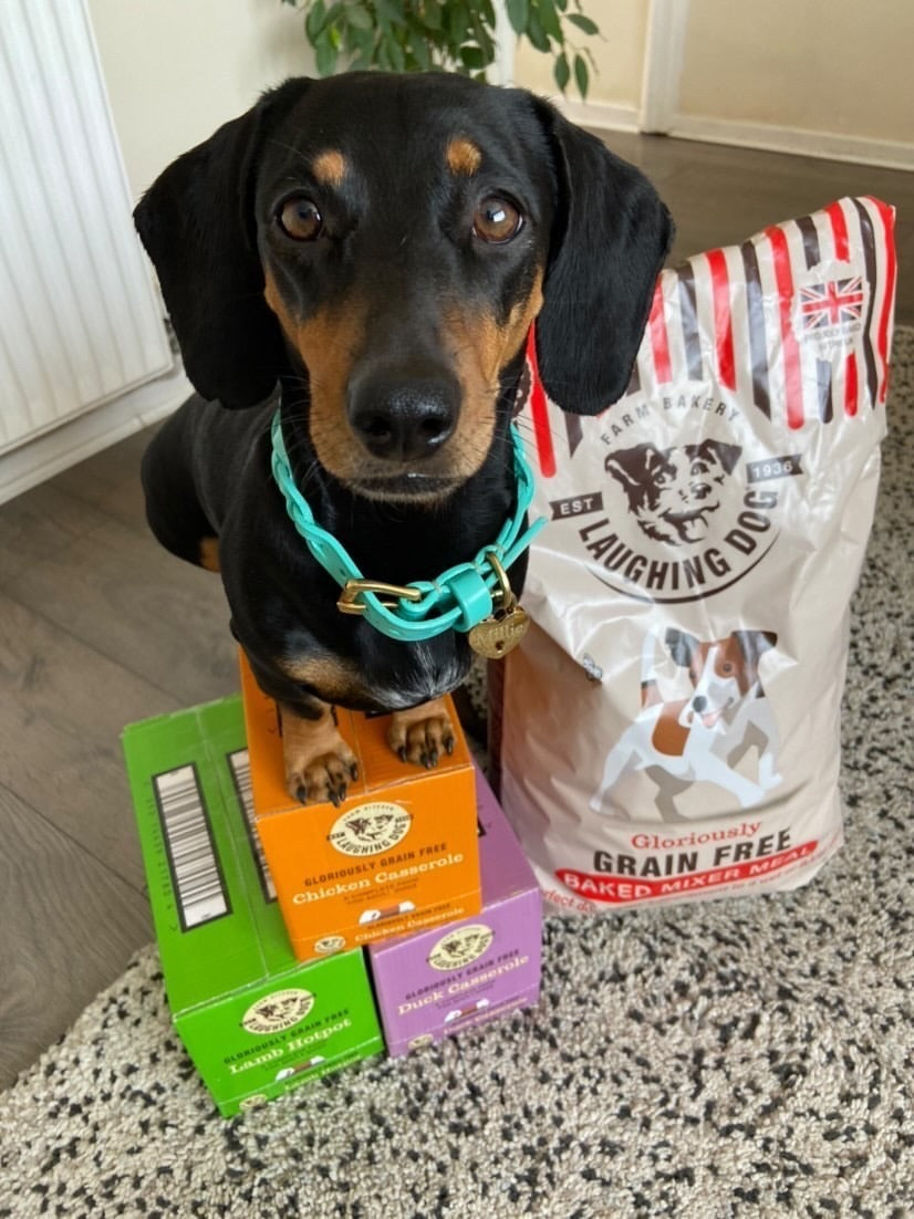 Sausage dog sitting next to selection of dog food |Laughing Dog Food