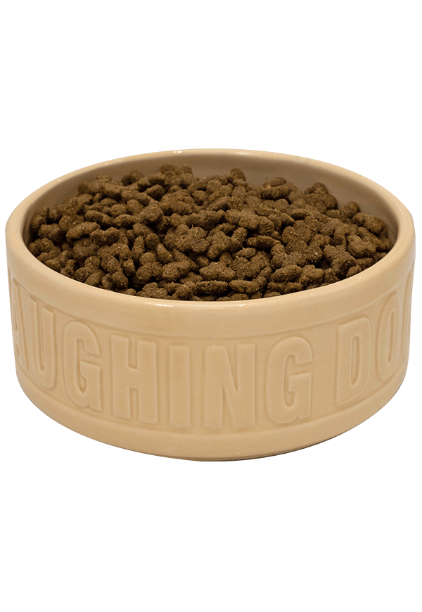 Naturally Grain Free Adult Salmon Complete Dog Food