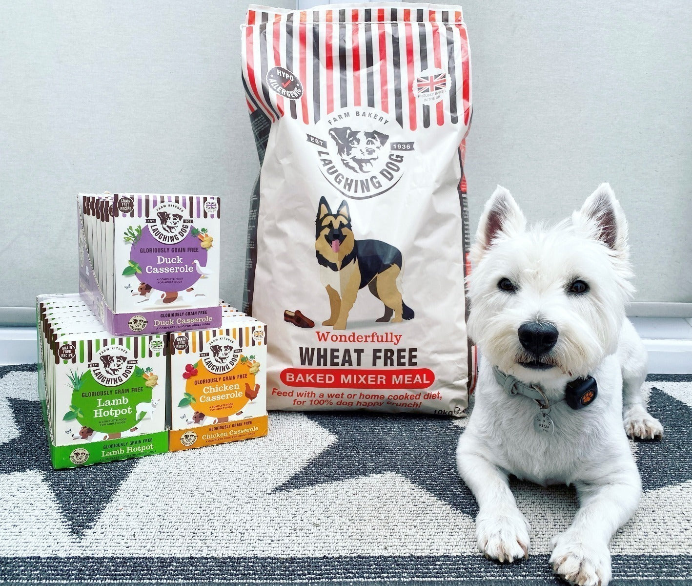 Adult Wheat Free Mixer & Wet Dog Food Bundle