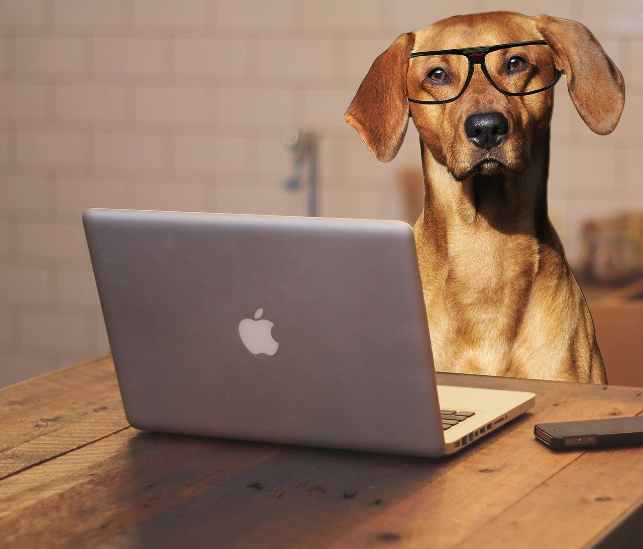 Bring your dog to work day | Laughing Dog Food