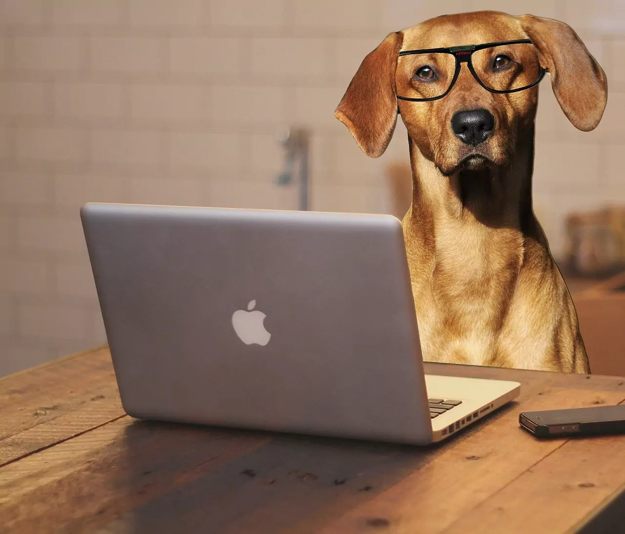 Bring your dog to work day | Laughing Dog Food