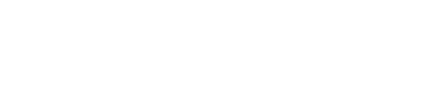 Labradors in Need logo