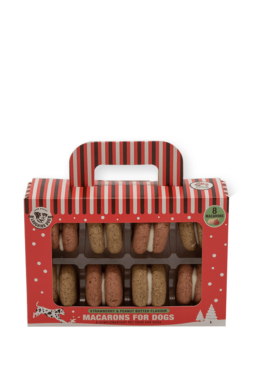 macarons for dogs