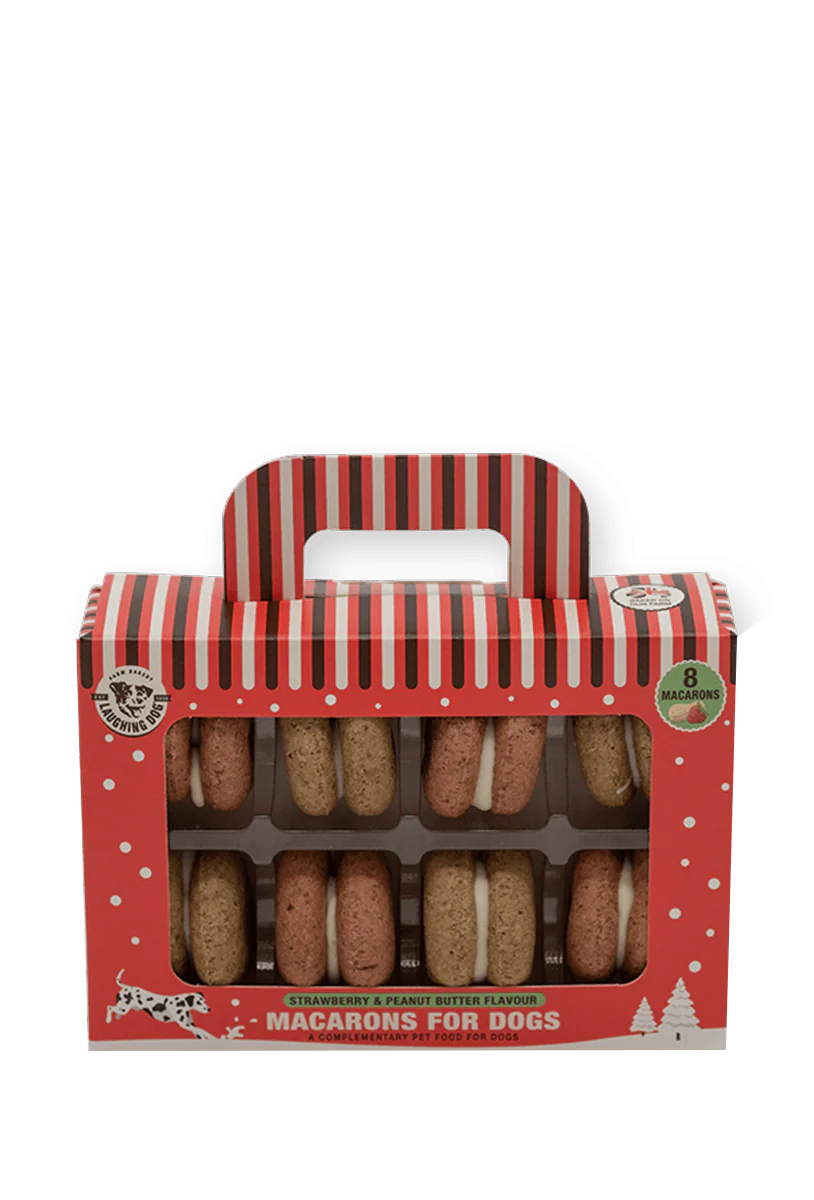 macarons for dogs