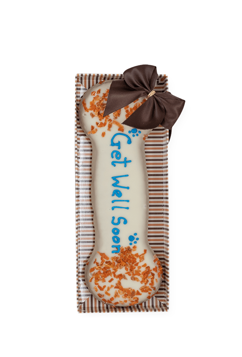 Get well best sale soon dog treats