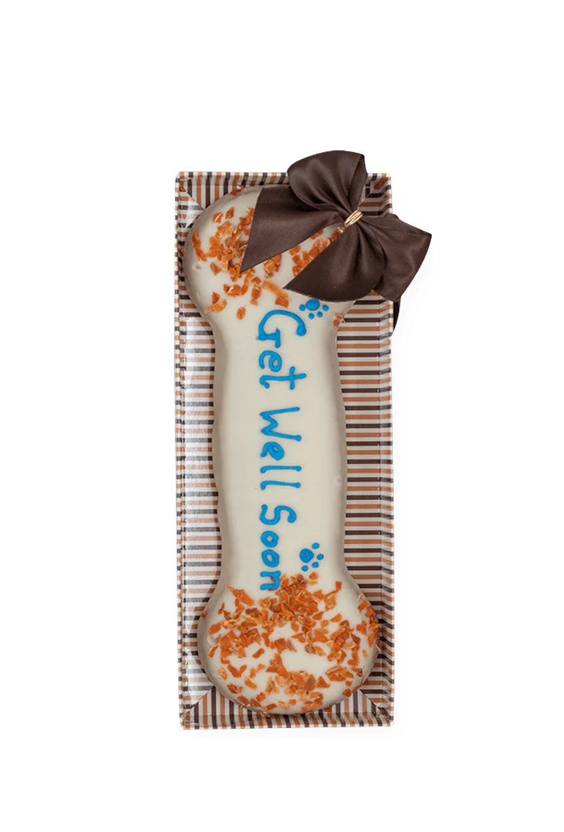 Get Well Soon Wheat Free Dog Biscuit Bone