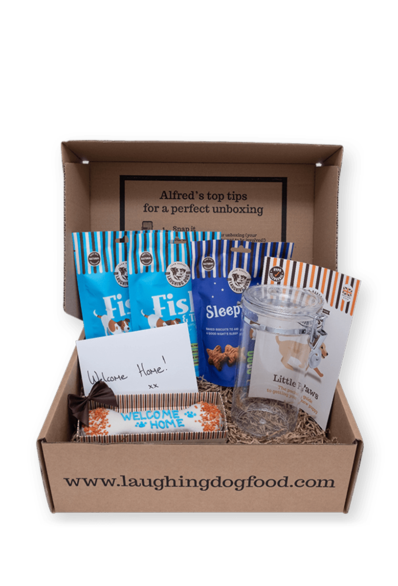 Laughing-Dog-New-Puppy-Hamper