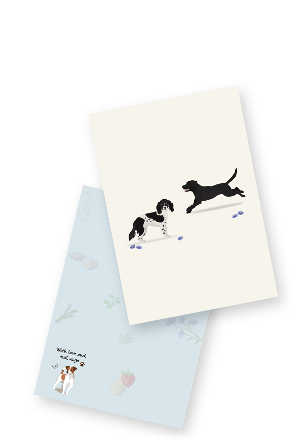 Dog Birthday Card | Laughing Dog Food