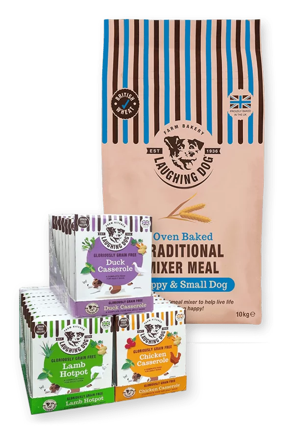 Small Dog Mixer Meal & Wet Dog Food Bundle
