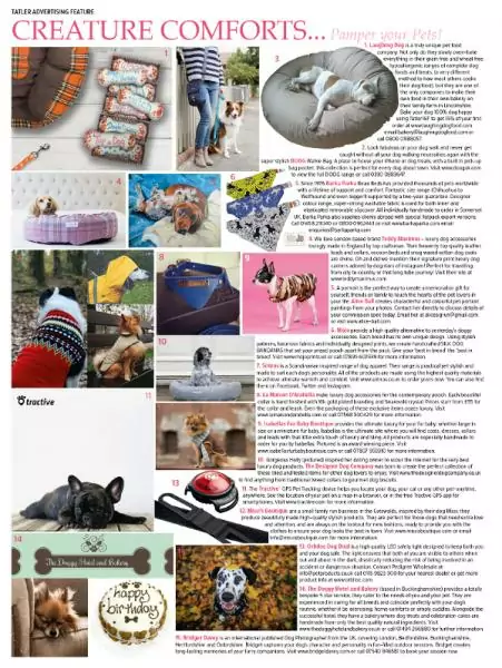 dog bed | Laughing Dog Food