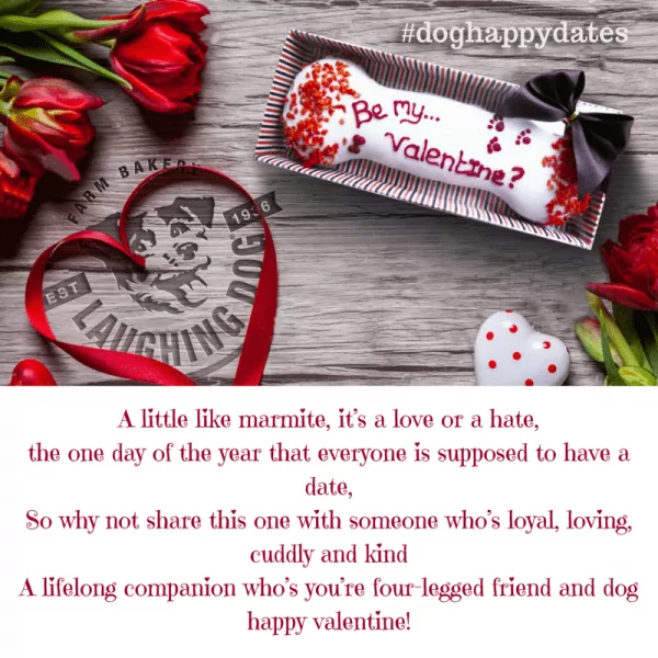 14870845431740412734 | Laughing Dog Food