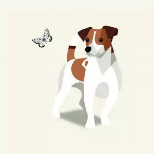 1509092210534507740 | Laughing Dog Food